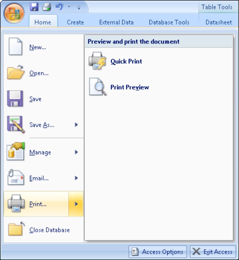 The Microsoft Office Print menu